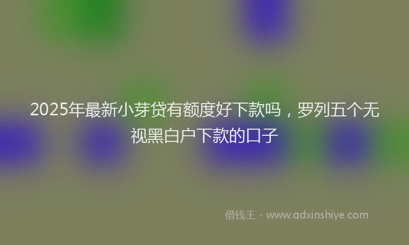 2025年最新小芽贷有额度好下款吗，罗列五个无视黑白户下款的口子