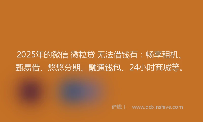 2025年的微信 微粒贷 无法借钱有：畅享租机、甄易借、悠悠分期、融通钱包、24小时商城等。