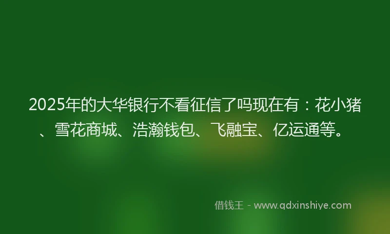 2025年的大华银行不看征信了吗现在有：花小猪、雪花商城、浩瀚钱包、飞融宝、亿运通等。