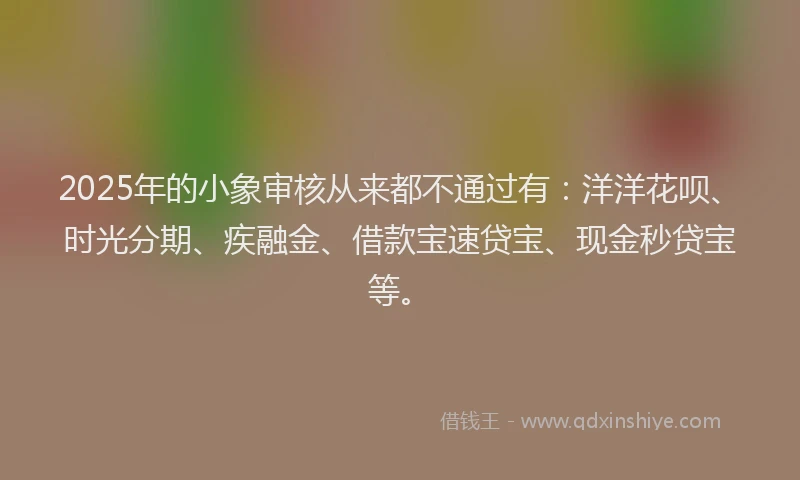 2025年的小象审核从来都不通过有：洋洋花呗、时光分期、疾融金、借款宝速贷宝、现金秒贷宝等。