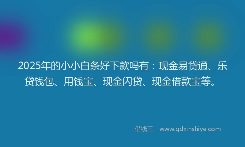 2025年的小小白条好下款吗有：现金易贷通、乐贷钱包、用钱宝、现金闪贷、现金借款宝等。