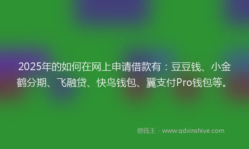 2025年的如何在网上申请借款有：豆豆钱、小金鹤分期、飞融贷、快鸟钱包、翼支付Pro钱包等。