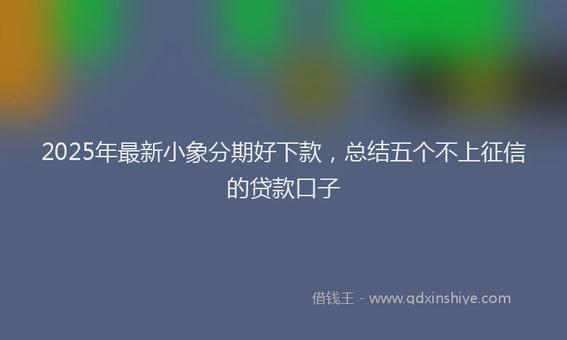 2025年最新小象分期好下款，总结五个不上征信的贷款口子