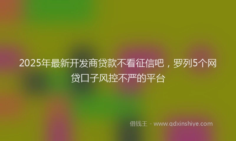 2025年最新开发商贷款不看征信吧，罗列5个网贷口子风控不严的平台