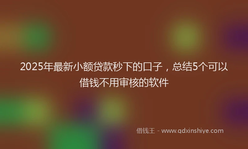2025年最新小额贷款秒下的口子，总结5个可以借钱不用审核的软件