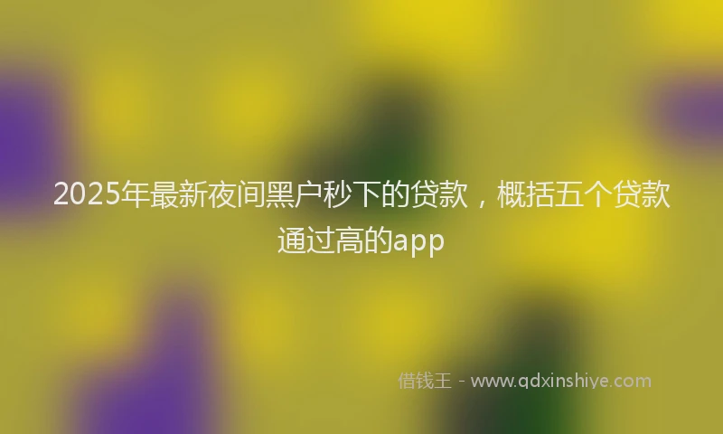 2025年最新夜间黑户秒下的贷款，概括五个贷款通过高的app
