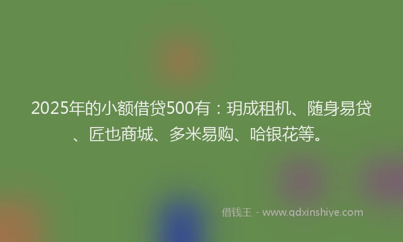 2025年的小额借贷500有：玥成租机、随身易贷、匠也商城、多米易购、哈银花等。