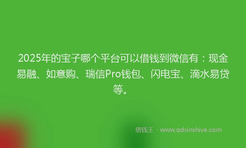2025年的宝子哪个平台可以借钱到微信有：现金易融、如意购、瑞信Pro钱包、闪电宝、滴水易贷等。
