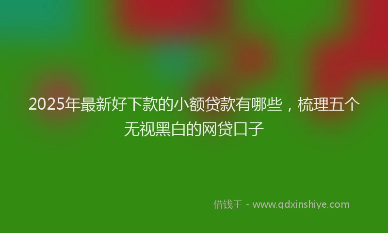 2025年最新好下款的小额贷款有哪些，梳理五个无视黑白的网贷口子