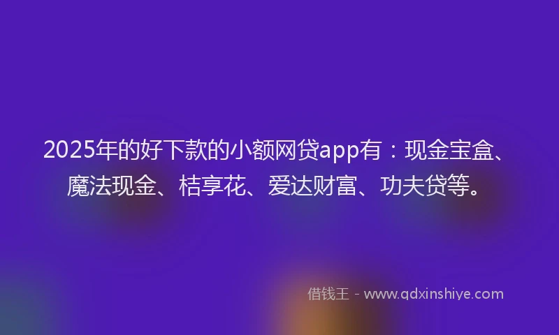 2025年的好下款的小额网贷app有：现金宝盒、魔法现金、桔享花、爱达财富、功夫贷等。