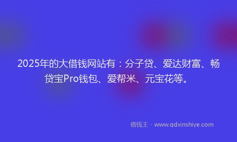2025年的大借钱网站有：分子贷、爱达财富、畅贷宝Pro钱包、爱帮米、元宝花等。