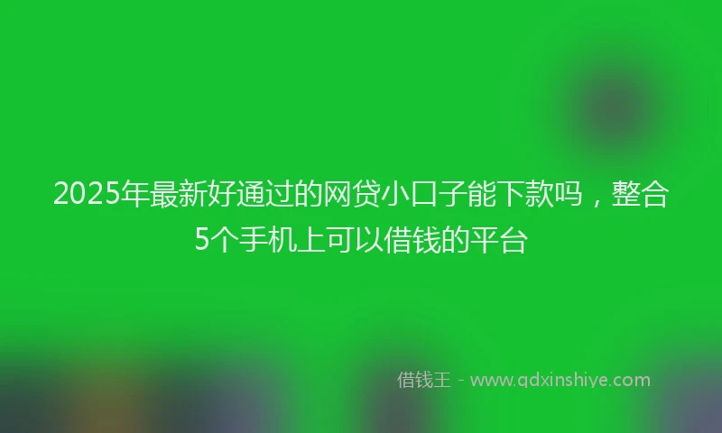 2025年最新好通过的网贷小口子能下款吗，整合5个手机上可以借钱的平台