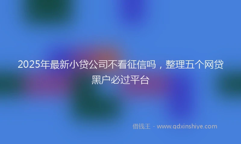 2025年最新小贷公司不看征信吗，整理五个网贷黑户必过平台