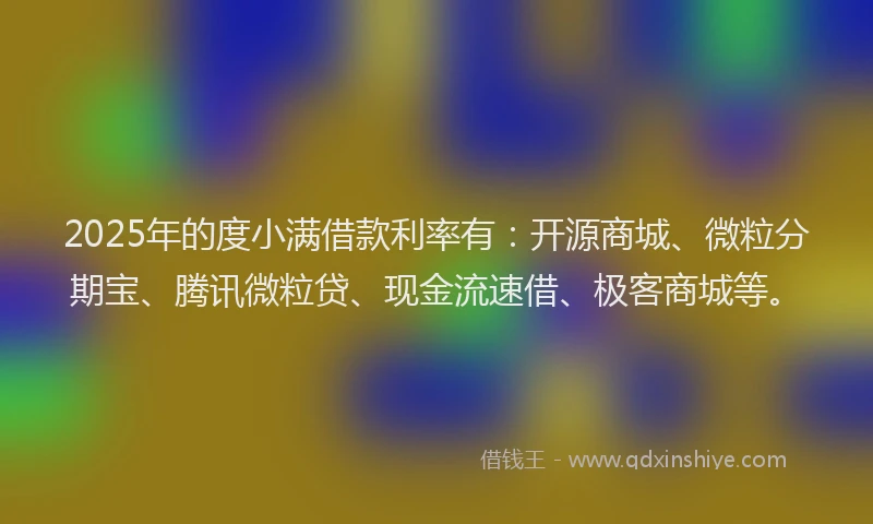 2025年的度小满借款利率有：开源商城、微粒分期宝、腾讯微粒贷、现金流速借、极客商城等。