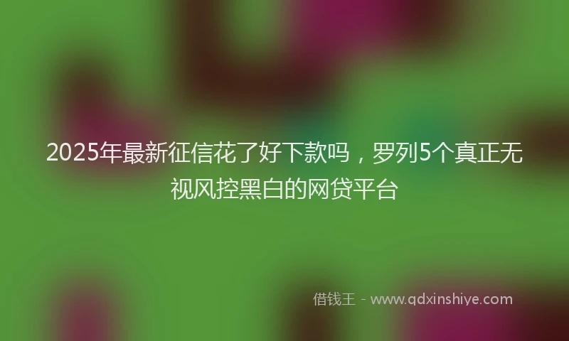 2025年最新征信花了好下款吗，罗列5个真正无视风控黑白的网贷平台