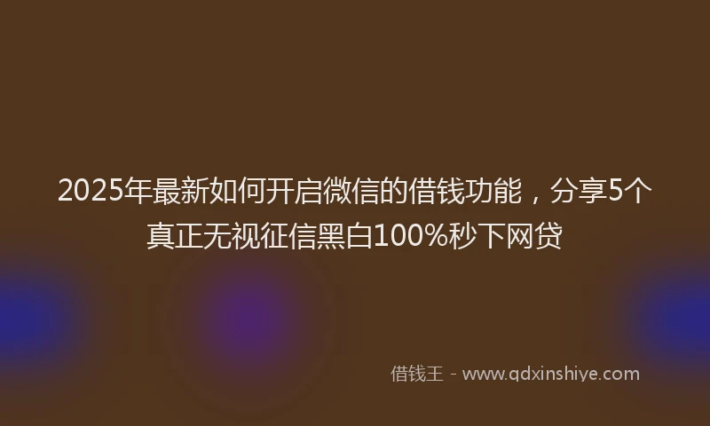 2025年最新如何开启微信的借钱功能，分享5个真正无视征信黑白100%秒下网贷