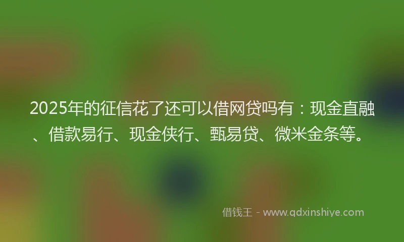 2025年的征信花了还可以借网贷吗有:现金直融、借款易行、现金侠行、甄易贷、微米金条等。