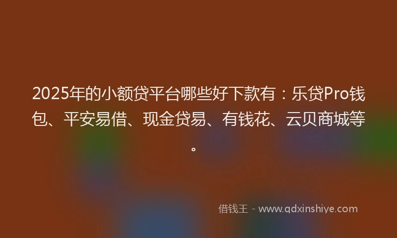 2025年的小额贷平台哪些好下款有：乐贷Pro钱包、平安易借、现金贷易、有钱花、云贝商城等。