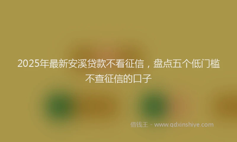 2025年最新安溪贷款不看征信，盘点五个低门槛不查征信的口子