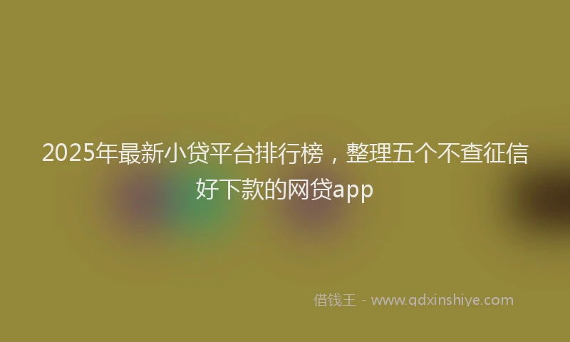 2025年最新小贷平台排行榜，整理五个不查征信好下款的网贷app