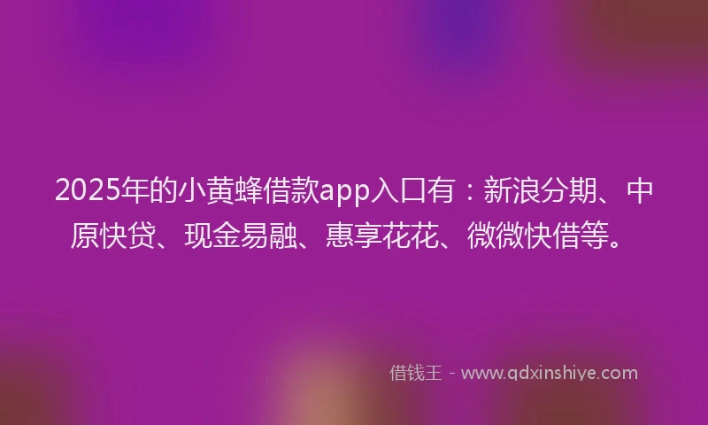2025年的小黄蜂借款app入口有：新浪分期、中原快贷、现金易融、惠享花花、微微快借等。