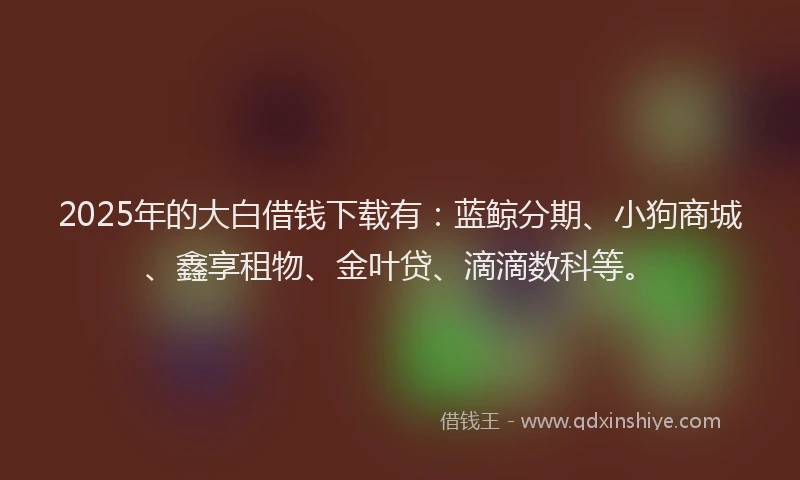 2025年的大白借钱下载有：蓝鲸分期、小狗商城、鑫享租物、金叶贷、滴滴数科等。