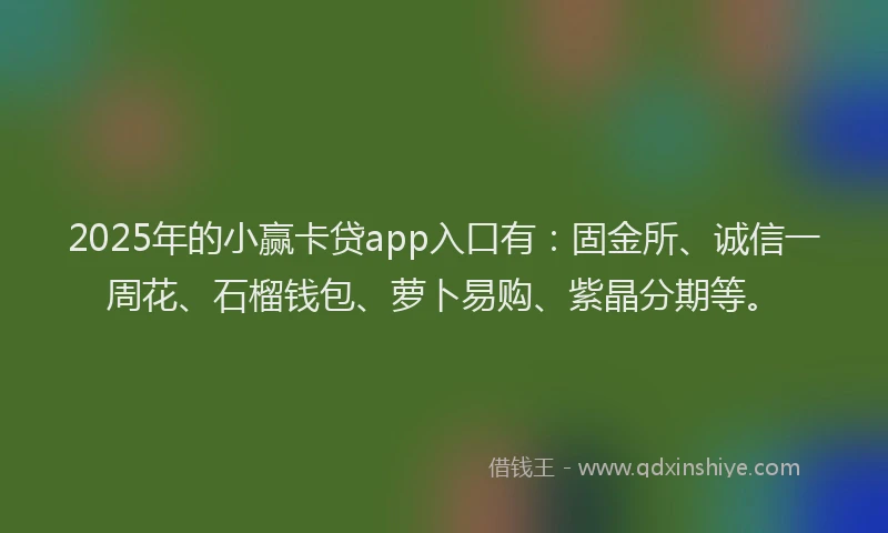 2025年的小赢卡贷app入口有：固金所、诚信一周花、石榴钱包、萝卜易购、紫晶分期等。
