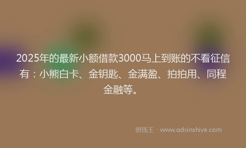 2025年的最新小额借款3000马上到账的不看征信有：小熊白卡、金钥匙、金满盈、拍拍用、同程金融等。