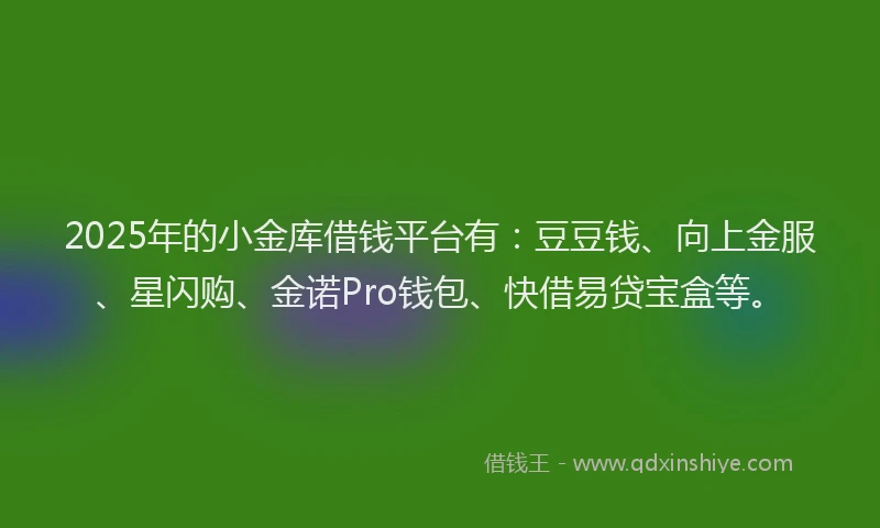 2025年的小金库借钱平台有：豆豆钱、向上金服、星闪购、金诺Pro钱包、快借易贷宝盒等。