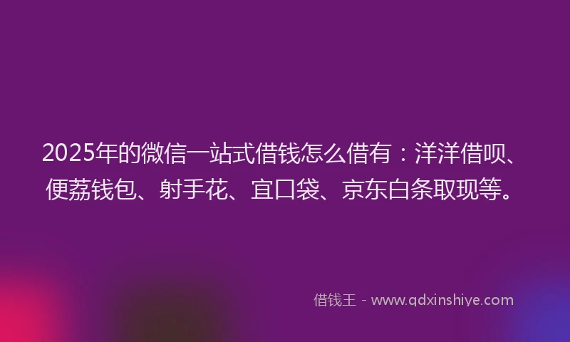 2025年的微信一站式借钱怎么借有：洋洋借呗、便荔钱包、射手花、宜口袋、京东白条取现等。