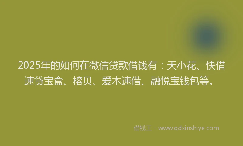 2025年的如何在微信贷款借钱有：天小花、快借速贷宝盒、榕贝、爱木速借、融悦宝钱包等。