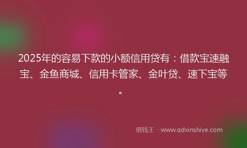 2025年的容易下款的小额信用贷有：借款宝速融宝、金鱼商城、信用卡管家、金叶贷、速下宝等。