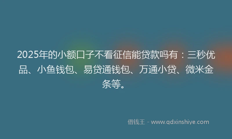 2025年的小额口子不看征信能贷款吗有：三秒优品、小鱼钱包、易贷通钱包、万通小贷、微米金条等。