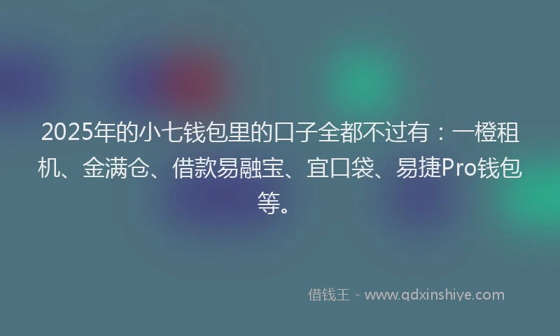 2025年的小七钱包里的口子全都不过有：一橙租机、金满仓、借款易融宝、宜口袋、易捷Pro钱包等。