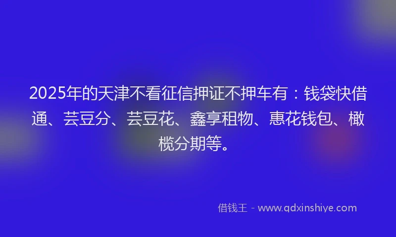 2025年的天津不看征信押证不押车有：钱袋快借通、芸豆分、芸豆花、鑫享租物、惠花钱包、橄榄分期等。
