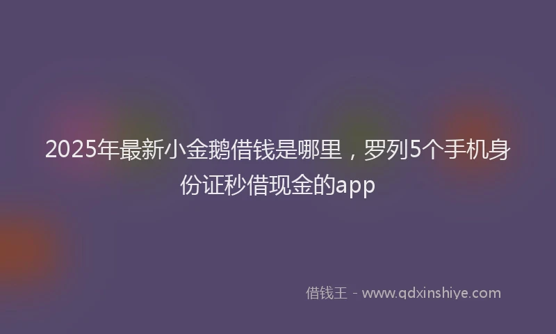 2025年最新小金鹅借钱是哪里，罗列5个手机身份证秒借现金的app
