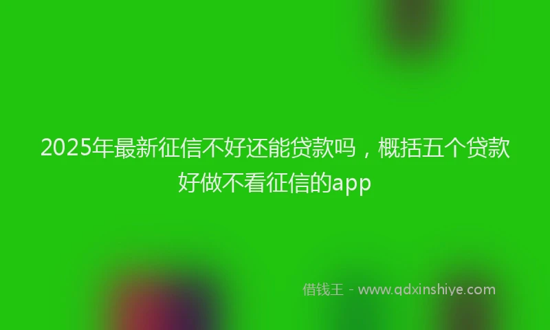2025年最新征信不好还能贷款吗，概括五个贷款好做不看征信的app
