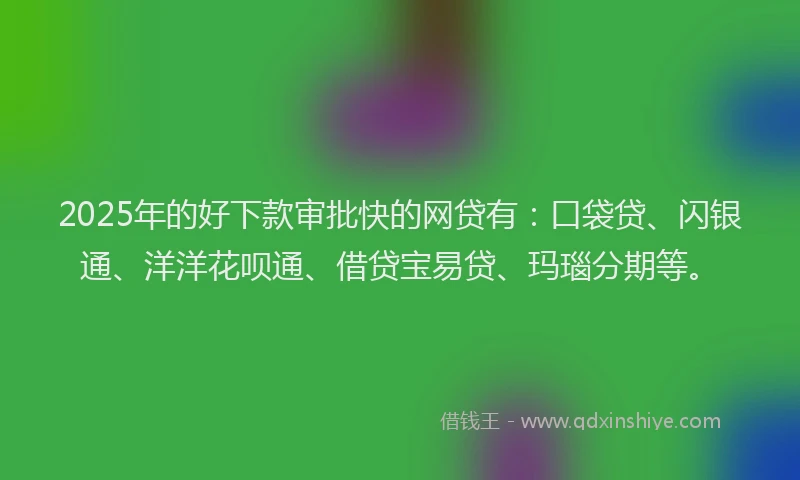 2025年的好下款审批快的网贷有：口袋贷、闪银通、洋洋花呗通、借贷宝易贷、玛瑙分期等。