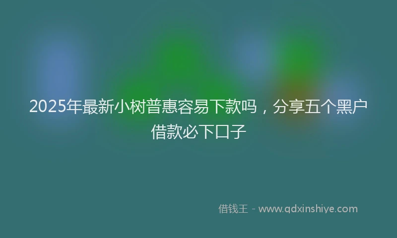 2025年最新小树普惠容易下款吗，分享五个黑户借款必下口子