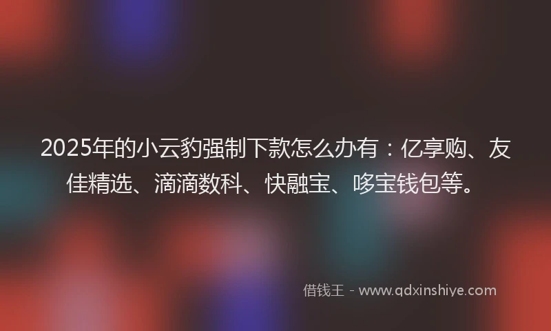 2025年的小云豹强制下款怎么办有：亿享购、友佳精选、滴滴数科、快融宝、哆宝钱包等。