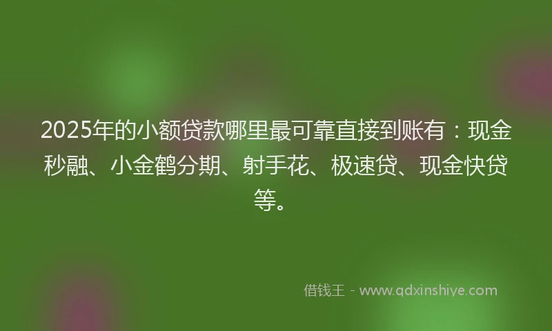 2025年的小额贷款哪里最可靠直接到账有：现金秒融、小金鹤分期、射手花、极速贷、现金快贷等。