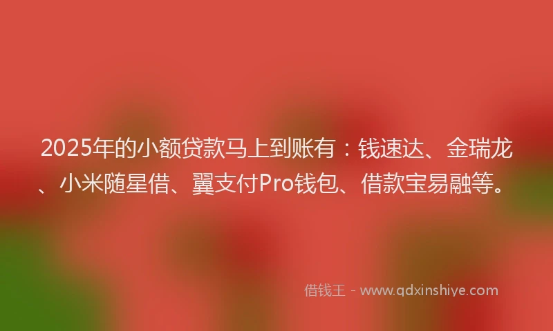 2025年的小额贷款马上到账有：钱速达、金瑞龙、小米随星借、翼支付Pro钱包、借款宝易融等。