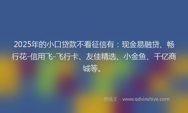 2025年的小口贷款不看征信有：现金易融贷、畅行花-信用飞-飞行卡、友佳精选、小金鱼、千亿商城等。