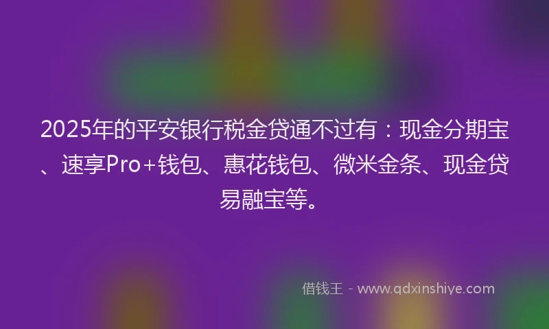 2025年的平安银行税金贷通不过有：现金分期宝、速享Pro+钱包、惠花钱包、微米金条、现金贷易融宝等。
