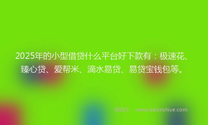 2025年的小型借贷什么平台好下款有：极速花、臻心贷、爱帮米、滴水易贷、易贷宝钱包等。