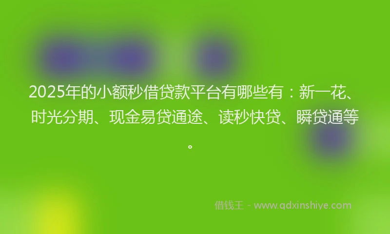 2025年的小额秒借贷款平台有哪些有：新一花、时光分期、现金易贷通途、读秒快贷、瞬贷通等。