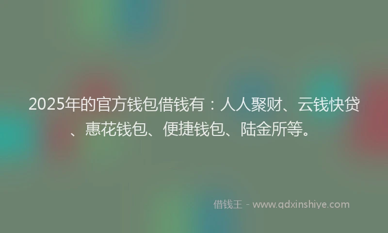 2025年的官方钱包借钱有：人人聚财、云钱快贷、惠花钱包、便捷钱包、陆金所等。
