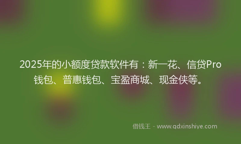 2025年的小额度贷款软件有：新一花、信贷Pro钱包、普惠钱包、宝盈商城、现金侠等。