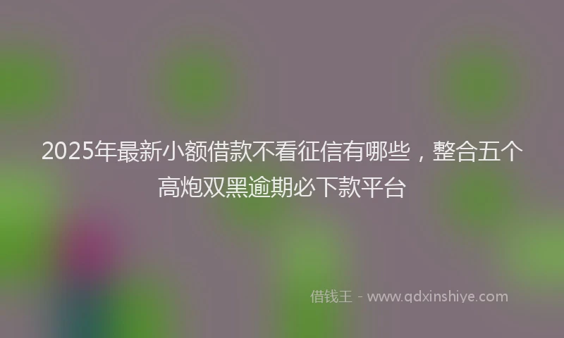 2025年最新小额借款不看征信有哪些，整合五个高炮双黑逾期必下款平台