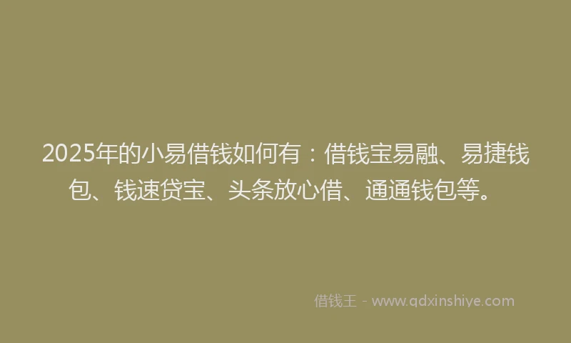 2025年的小易借钱如何有：借钱宝易融、易捷钱包、钱速贷宝、头条放心借、通通钱包等。